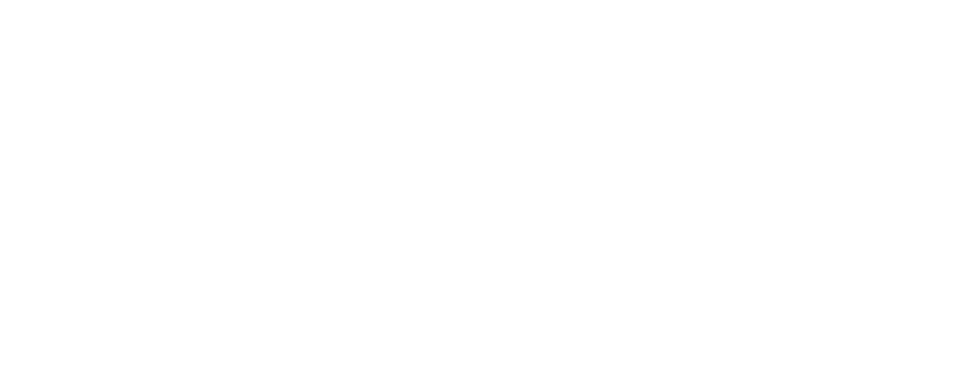 VmvGroup